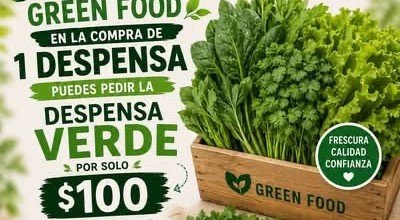 Despensa Verde con hojas y hierbas frescas
